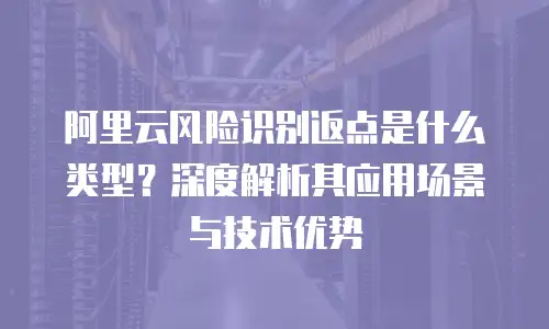 阿里云风险识别返点是什么类型？深度解析其应用场景与技术优势