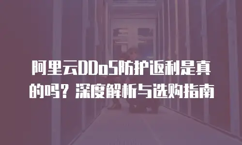 阿里云DDoS防护返利是真的吗？深度解析与选购指南