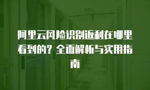 阿里云风险识别返利在哪里看到的？全面解析与实用指南