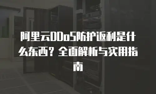 阿里云DDoS防护返利是什么东西？全面解析与实用指南
