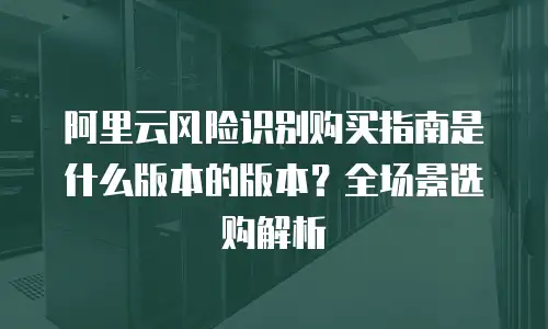 阿里云风险识别购买指南是什么版本的版本？全场景选购解析