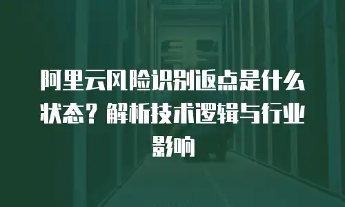 阿里云风险识别返点是什么状态？解析技术逻辑与行业影响