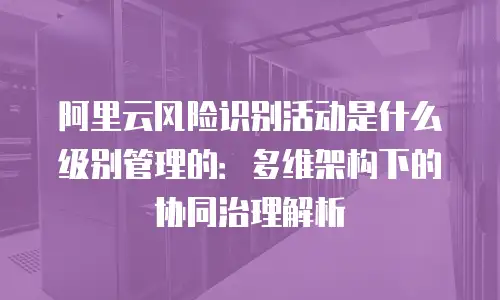 阿里云风险识别活动是什么级别管理的：多维架构下的协同治理解析