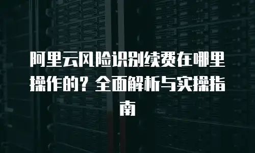 阿里云风险识别续费在哪里操作的？全面解析与实操指南