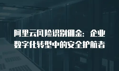 阿里云风险识别佣金：企业数字化转型中的安全护航者