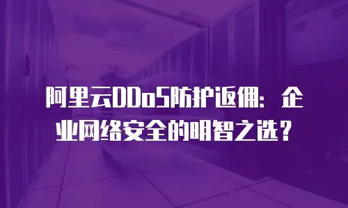阿里云DDoS防护返佣：企业网络安全的明智之选？