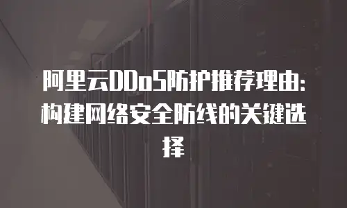 阿里云DDoS防护推荐理由：构建网络安全防线的关键选择