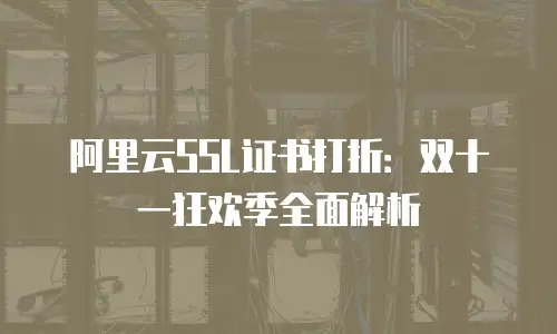 阿里云SSL证书打折：双十一狂欢季全面解析