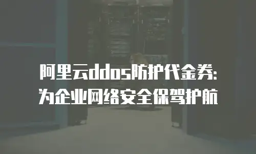 阿里云ddos防护代金券：为企业网络安全保驾护航