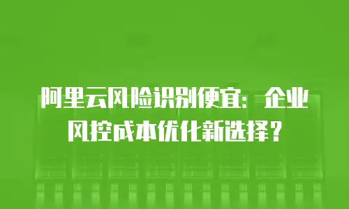 阿里云风险识别便宜：企业风控成本优化新选择？