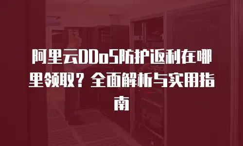 阿里云DDoS防护返利在哪里领取？全面解析与实用指南