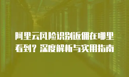 阿里云风险识别返佣在哪里看到？深度解析与实用指南