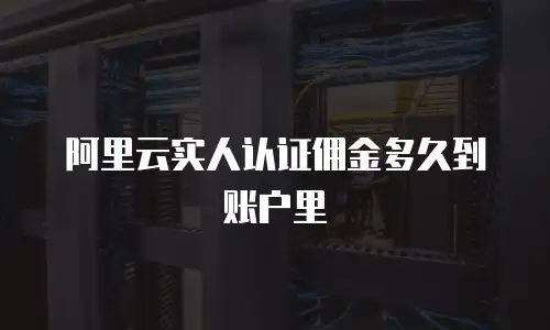 阿里云实人认证佣金多久到账户里