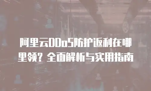 阿里云DDoS防护返利在哪里领？全面解析与实用指南