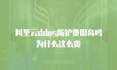 阿里云ddos防护费用高吗为什么这么贵