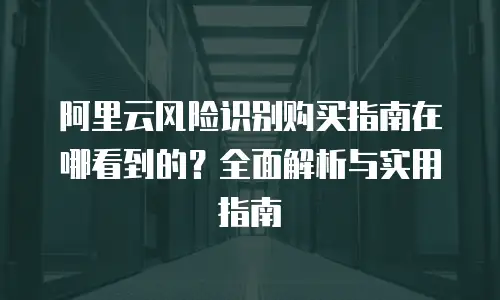 阿里云风险识别购买指南在哪看到的？全面解析与实用指南