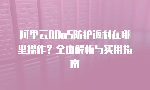 阿里云DDoS防护返利在哪里操作？全面解析与实用指南