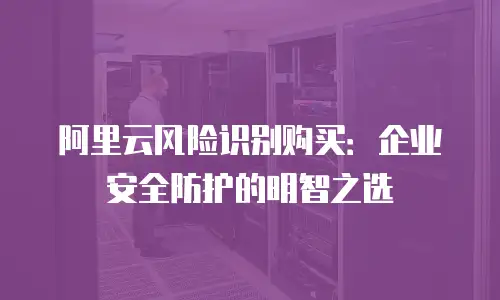 阿里云风险识别购买：企业安全防护的明智之选