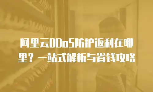 阿里云DDoS防护返利在哪里？一站式解析与省钱攻略