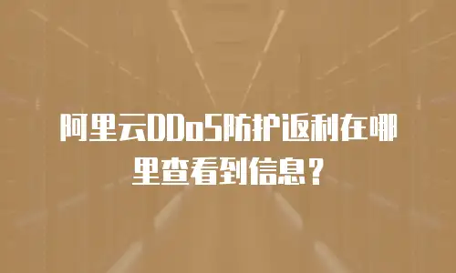 阿里云DDoS防护返利在哪里查看到信息？