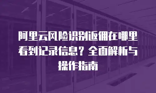 阿里云风险识别返佣在哪里看到记录信息？全面解析与操作指南