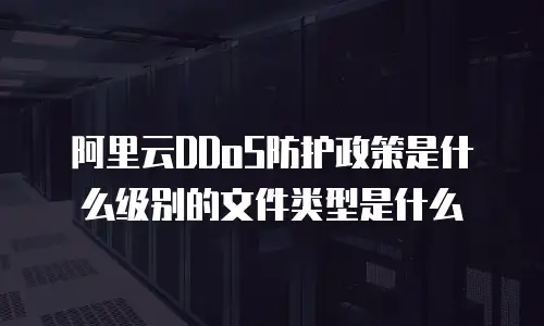 阿里云DDoS防护政策是什么级别的文件类型是什么