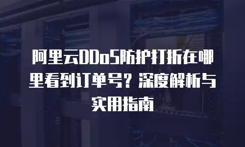 阿里云DDoS防护打折在哪里看到订单号？深度解析与实用指南