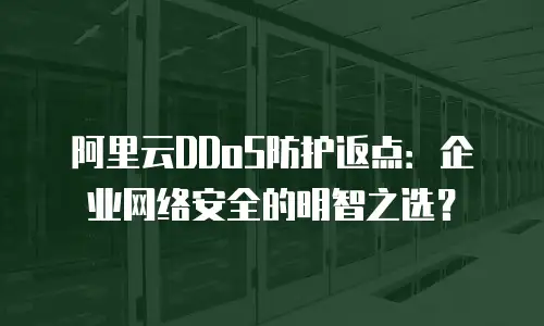 阿里云DDoS防护返点：企业网络安全的明智之选？