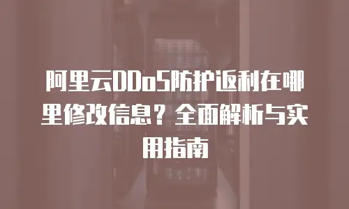 阿里云DDoS防护返利在哪里修改信息？全面解析与实用指南