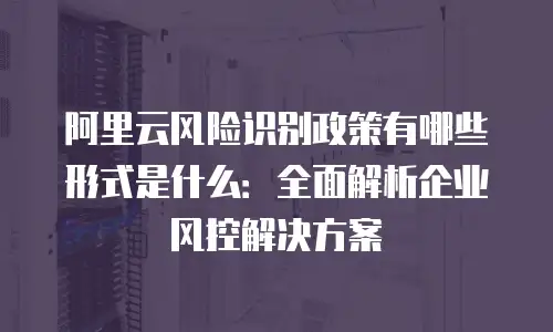阿里云风险识别政策有哪些形式是什么：全面解析企业风控解决方案