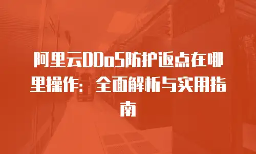 阿里云DDoS防护返点在哪里操作：全面解析与实用指南