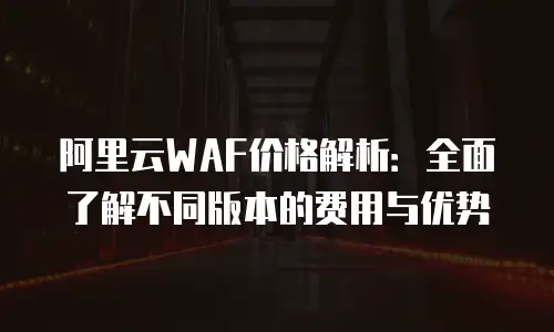 阿里云WAF价格解析：全面了解不同版本的费用与优势