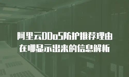 阿里云DDoS防护推荐理由在哪显示出来的信息解析