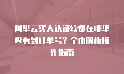 阿里云实人认证续费在哪里查看到订单号？全面解析操作指南