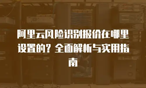 阿里云风险识别报价在哪里设置的？全面解析与实用指南