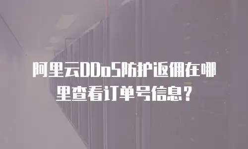 阿里云DDoS防护返佣在哪里查看订单号信息？