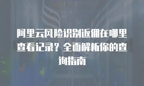 阿里云风险识别返佣在哪里查看记录？全面解析你的查询指南