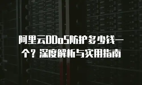 阿里云DDoS防护多少钱一个？深度解析与实用指南