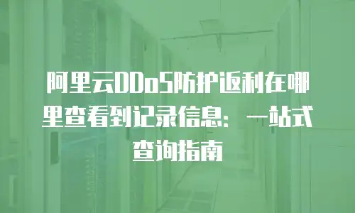 阿里云DDoS防护返利在哪里查看到记录信息：一站式查询指南