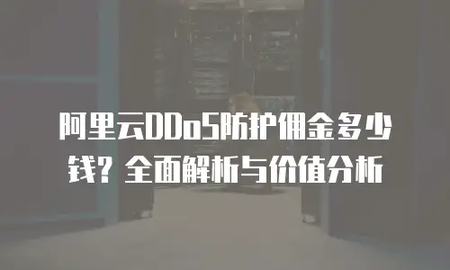 阿里云DDoS防护佣金多少钱？全面解析与价值分析