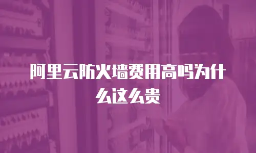 阿里云防火墙费用高吗为什么这么贵