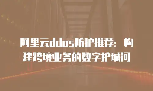 阿里云ddos防护推荐：构建跨境业务的数字护城河