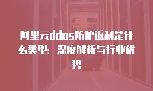 阿里云ddos防护返利是什么类型：深度解析与行业优势