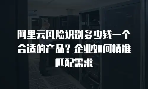 阿里云风险识别多少钱一个合适的产品？企业如何精准匹配需求