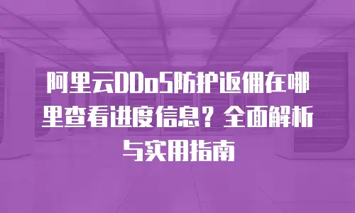 阿里云DDoS防护返佣在哪里查看进度信息？全面解析与实用指南