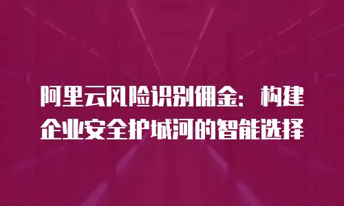 阿里云风险识别佣金：构建企业安全护城河的智能选择