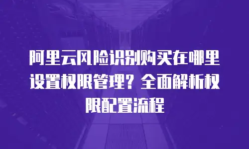 阿里云风险识别购买在哪里设置权限管理？全面解析权限配置流程