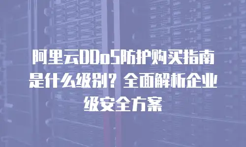 阿里云DDoS防护购买指南是什么级别？全面解析企业级安全方案