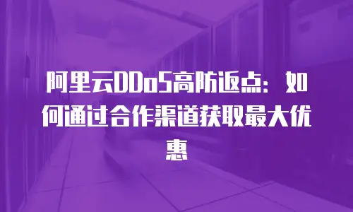 阿里云DDoS高防返点：如何通过合作渠道获取最大优惠