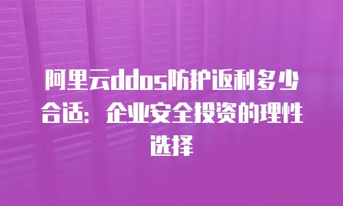 阿里云ddos防护返利多少合适：企业安全投资的理性选择